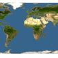 Discover Life: Point Map of Eballistra brachiariae