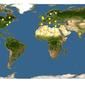 Discover Life: Point Map of Ustilago avenae